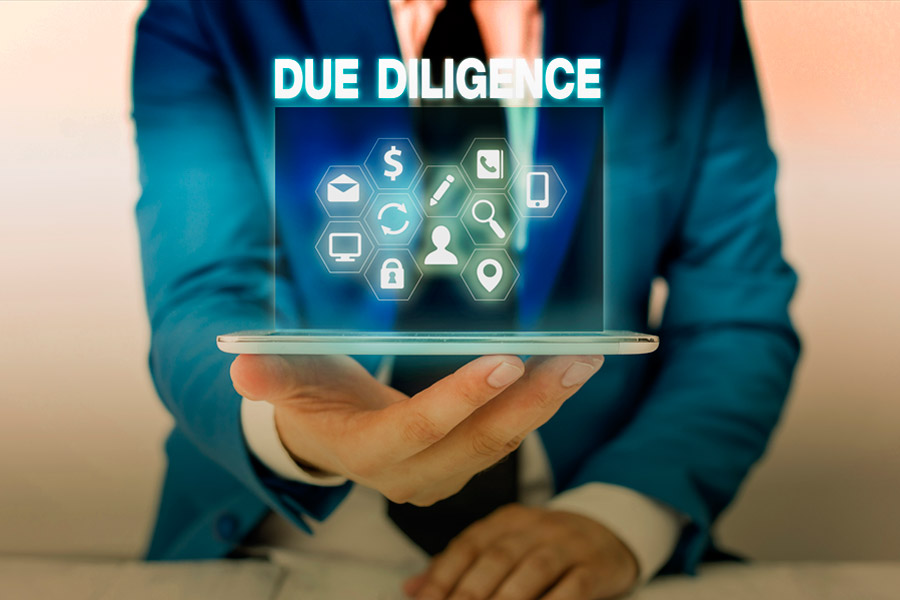 Due Diligence Services